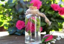 Kosmetyki naturalne do stylizacji włosów – alternatywa bez chemii