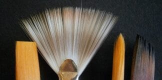 Olej z pestek dyni – bogactwo cynku dla skóry